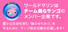 ワールドマリンは チーム美らサンゴの メンバー企業です。